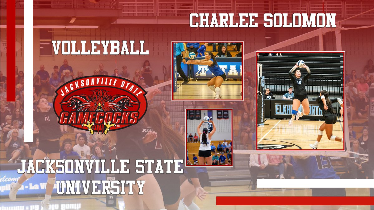 PLSouthTitanVb's tweet photo. HUGE CONGRATS to our Charlee Solomon!! She will be attending Jacksonville State University to play Volleyball!! We are proud of you! #EmbraceTheChoice @PLS_activities https://t.co/OhWJHrLNo0