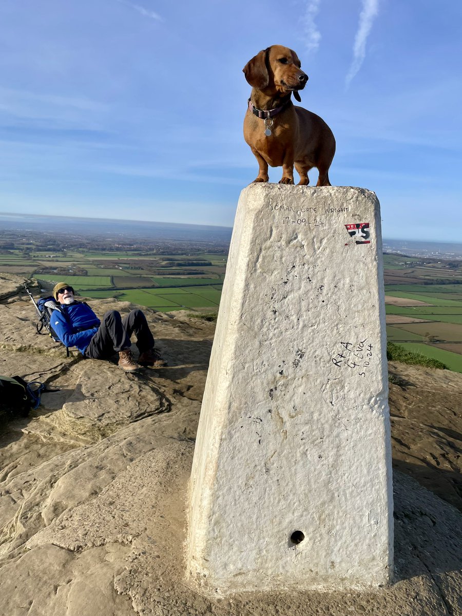 Robert MacDonald tweet media