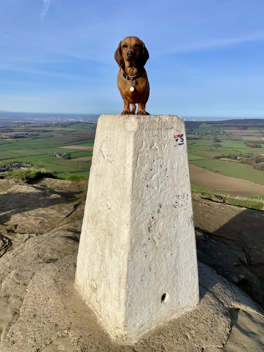 Robert MacDonald tweet media