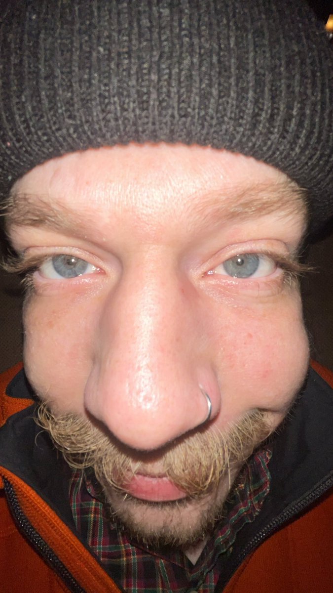 diet cig tweet media