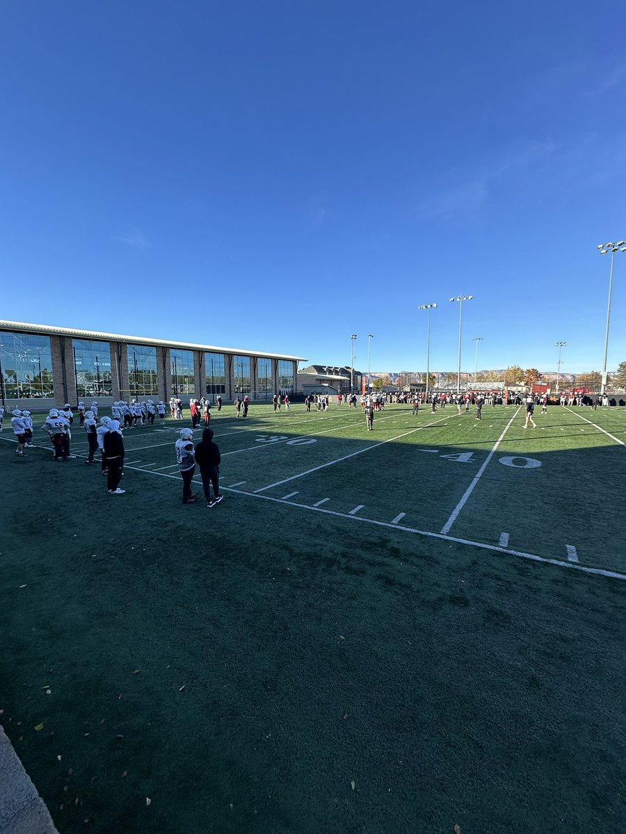 Alec slesinger-Hall tweet media