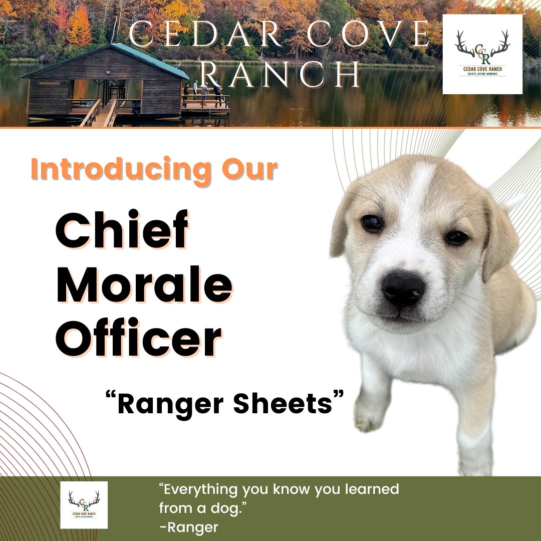 Cedar Cove Ranch tweet media