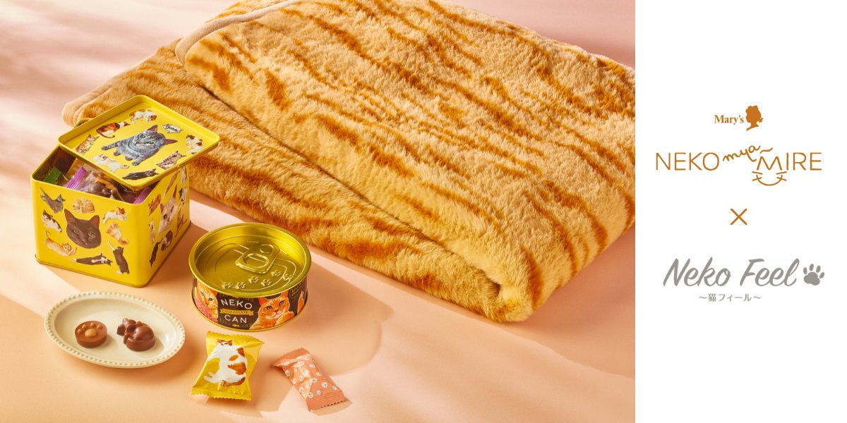 にゃんと、この度@nissen さんとコラボ商品を発売！！！ 今年の冬は茶