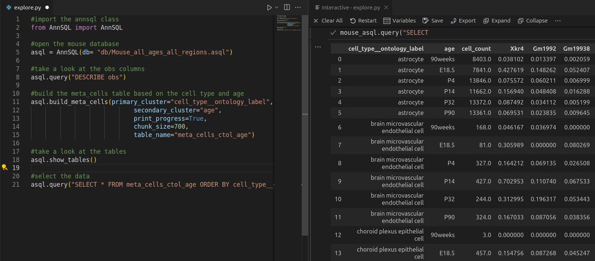 kennypavan's tweet photo. New feature in #AnnSQL!

Easily create meta cell views for massive single-cell datasets. In this example: 600k cells are grouped by type &amp; age to provide a summary of molecular diversity.

Live long and analyze🖖#Bioinformatics #DuckDb #Genomics 

https://t.co/EbMaVhLYYt https://t.co/l2Plfey30r
