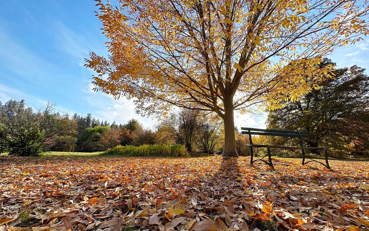 The City is embarking on a transformative journey to address the pressing challenges posed by climate change. Look out for upcoming workshops &amp; events to speak with the Climate Planning Team, share information, &amp; provide your thoughts on climate planning. my.spokanecity.org/news/stories/2…