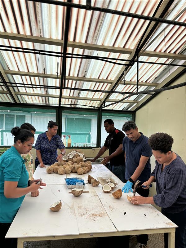 spc_cps's tweet photo. #PacificAgriculture | Can coconut cells grow separated from the coconut plant?
Scientists at Centre for Pacific Crops & Trees #CePaCT participated in a training on:
🧪methods of 🥥 embryo culture
🧬cloning 🥥 embryo
🌱lab to field planting
❄️conserve 🥥 embryos in liquid nitrogen https://t.co/ImI8q6kCiM
