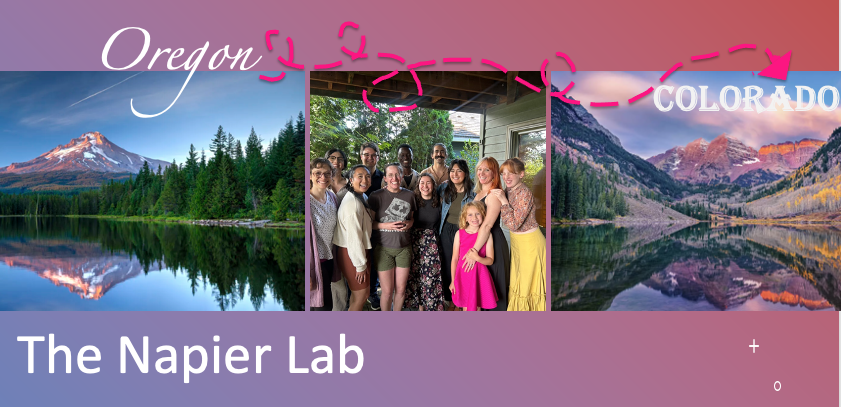 Ruth Jean Napier @ruthjeannapier.bsky.social (@ruthjeannapier) on Twitter photo 🐭BIG NEWS! The #Napierlab is moving to <a href="/CUAnschutz/">CU Anschutz Medical Campus</a> <a href="/CURheumatology/">CU Anschutz Division of Rheumatology</a> <a href="/KristiKuhn/">Kristi Kuhn, MD, PhD</a> Jan2025. We are thrilled to work with <a href="/CUAnschutz/">CU Anschutz Medical Campus</a> #uveitis & #pediatricrheumatology grouyps too! Already missing @ohsummi but excited for a new adventure! #BlauSyndrome #axSpA #toinfinityandbeyond 🐭BIG NEWS! The #Napierlab is moving to <a href="/CUAnschutz/">CU Anschutz Medical Campus</a> <a href="/CURheumatology/">CU Anschutz Division of Rheumatology</a> <a href="/KristiKuhn/">Kristi Kuhn, MD, PhD</a> Jan2025. We are thrilled to work with <a href="/CUAnschutz/">CU Anschutz Medical Campus</a> #uveitis & #pediatricrheumatology grouyps too! Already missing @ohsummi but excited for a new adventure! #BlauSyndrome #axSpA #toinfinityandbeyond