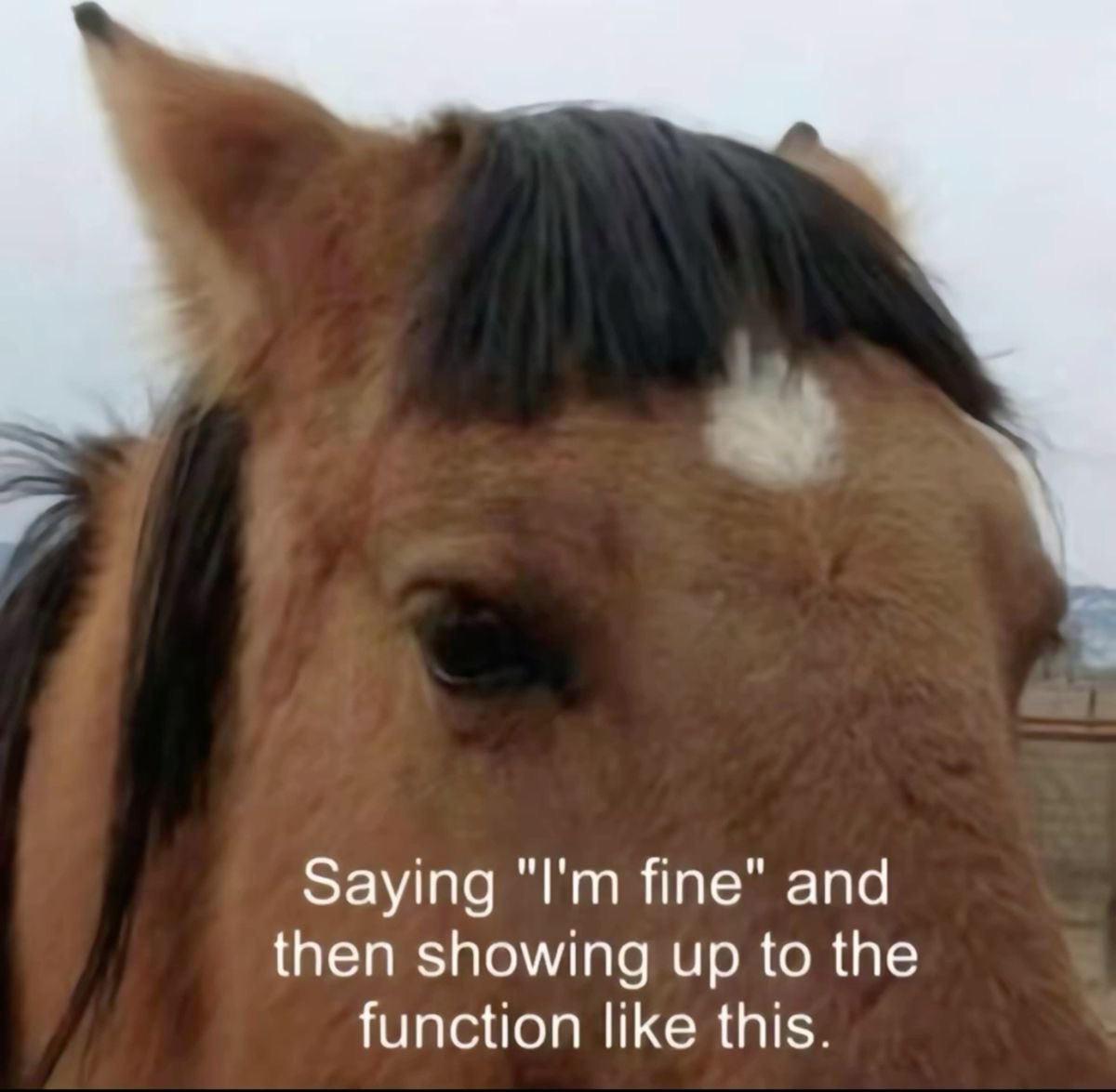 ︎ ︎ ︎ ︎ ︎ ︎ ︎ ︎ ︎ ︎ ︎ ︎ ︎ ︎ ︎ ︎ ︎ ︎ ︎ ︎ ︎ ︎ ︎ ︎ ︎ ︎ ︎ ︎ ︎ ︎ ︎ ︎ ︎ ︎ ︎ ︎ ︎