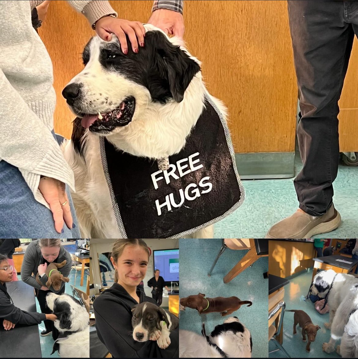 Our pet awareness club had some very special visitors today! 🐶 🐾 #hfstrongertogether