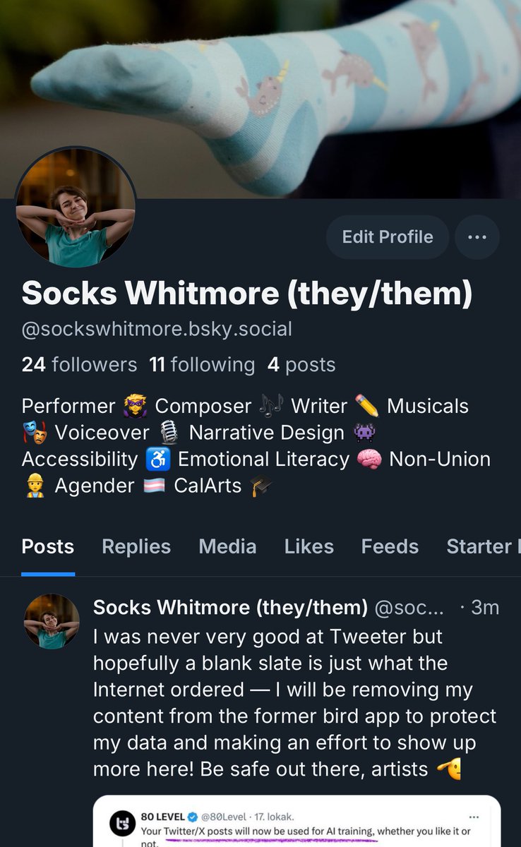 Socks DoesMore (they/them) tweet media