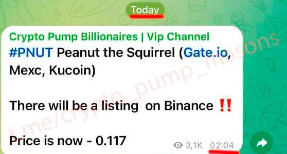 cryptotdhh's tweet photo. #PNUT @pnutsolana #pnutsolana $PNUT #crypto #cryptopump

Join our Telegram channel: https://t.co/sVXKPGJLAk

‼️ Profit 285% with 10 hours ✅‼️💰💰

$LINK $BTC $PEPE $AIDOGE $DOGE $WOJAK $SHIB $SOL $INJ $FLOKI $ETH $MEME $STRUMP $EGO $SXCH https://t.co/sBrWVgW2W0