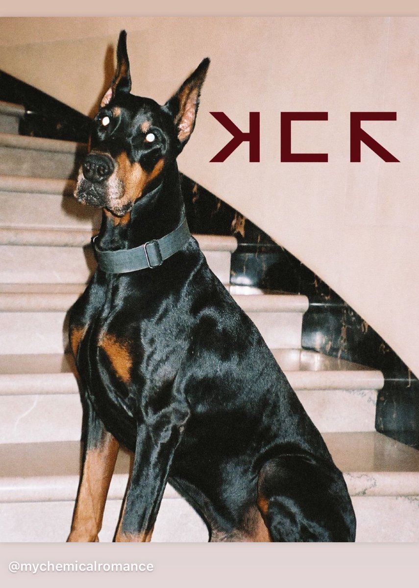 MCROfficialST's tweet image. Good Boy