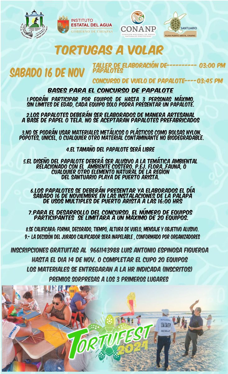 📷#TONALÁ
Tortufest 2024
📷📷📷 goo.su/gixy