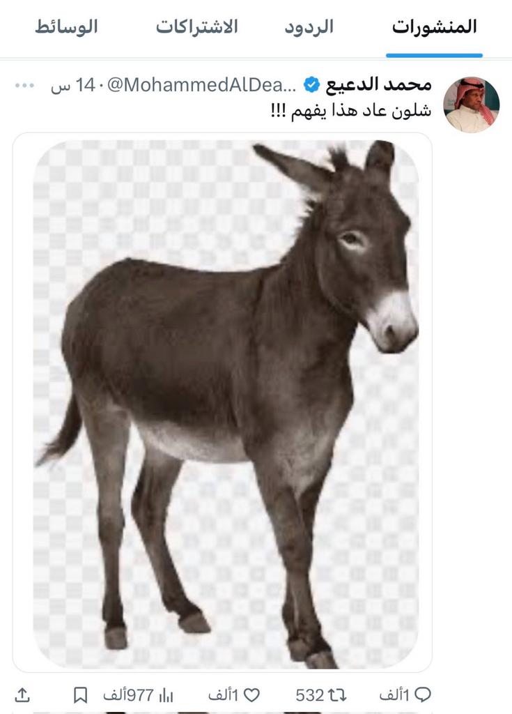 عقيل الوائلي tweet media