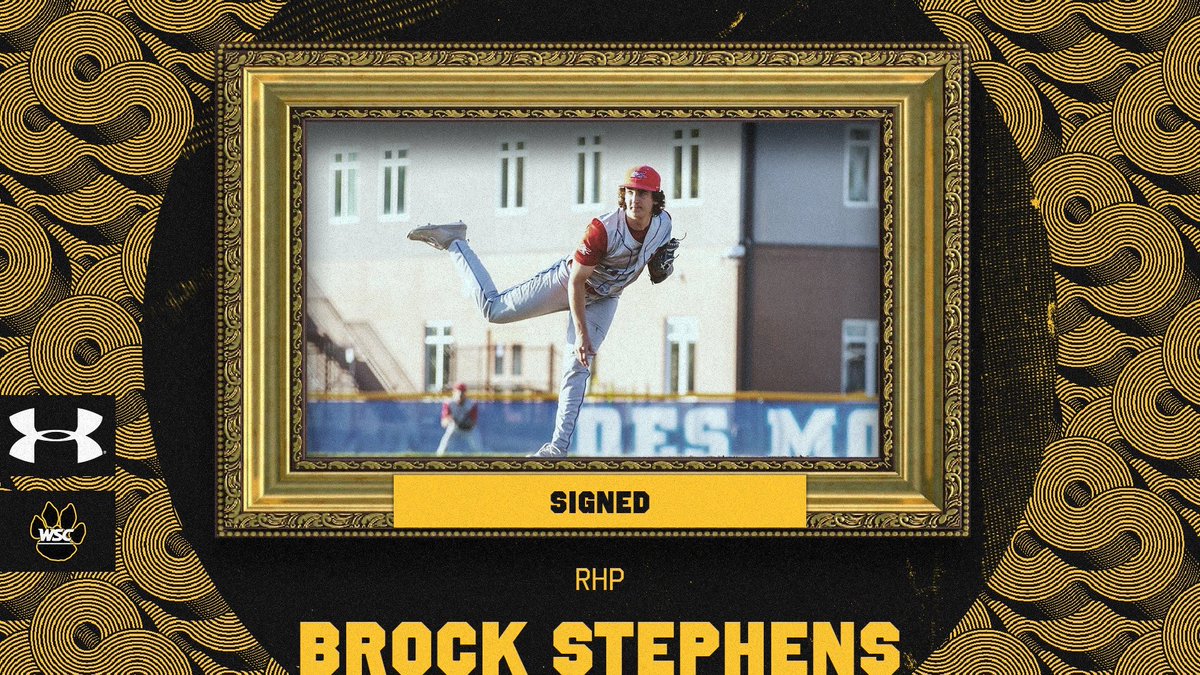 Wayne State Baseball tweet media