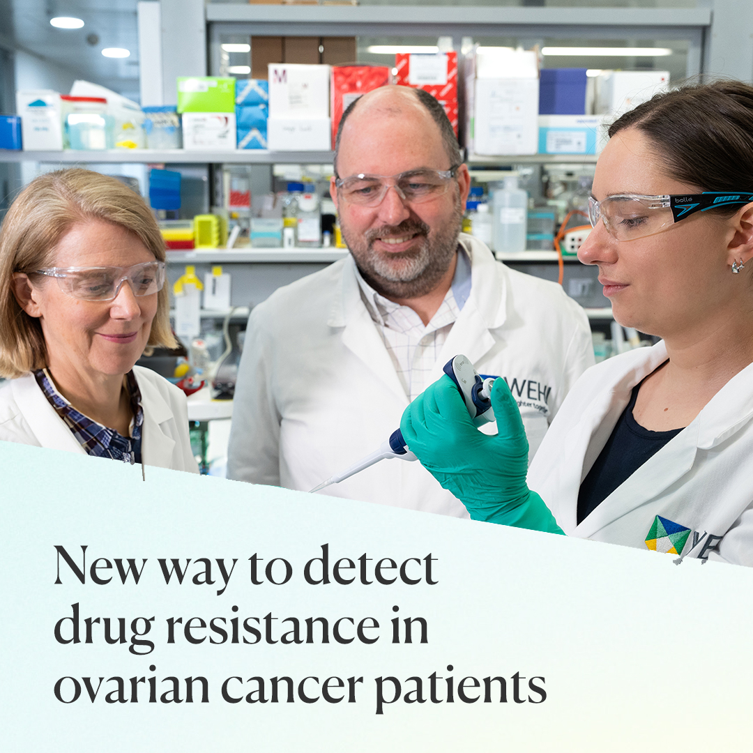 WEHI (Walter and Eliza Hall Institute) (@wehi_research) on Twitter photo WEHI researchers have found a new way to detect drug resistance in a subset of ovarian cancer patients. The breakthrough could transform cancer treatment by predicting resistance earlier.
wehi.edu.au/news/all-in-th…
#OvarianCancer
<a href="/genomematt/">Matthew Wakefield</a> <a href="/ksenijanesic/">ksenija nesic</a> <a href="/ProfClareScott/">Clare Scott</a> WEHI researchers have found a new way to detect drug resistance in a subset of ovarian cancer patients. The breakthrough could transform cancer treatment by predicting resistance earlier.
wehi.edu.au/news/all-in-th…
#OvarianCancer
<a href="/genomematt/">Matthew Wakefield</a> <a href="/ksenijanesic/">ksenija nesic</a> <a href="/ProfClareScott/">Clare Scott</a>