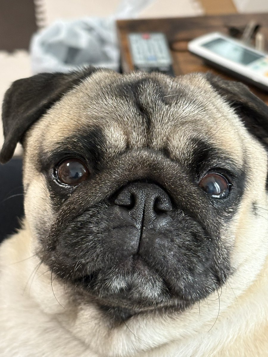 かわい子ちゃん。