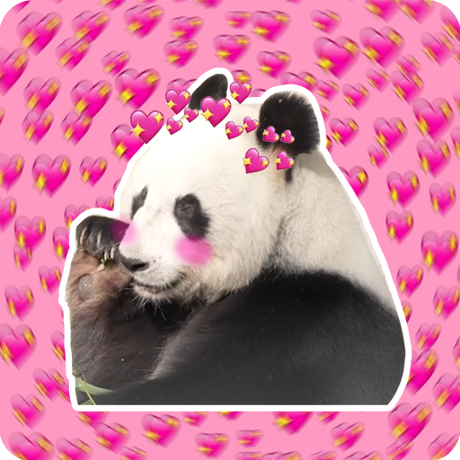 Wang Wang tweet media
