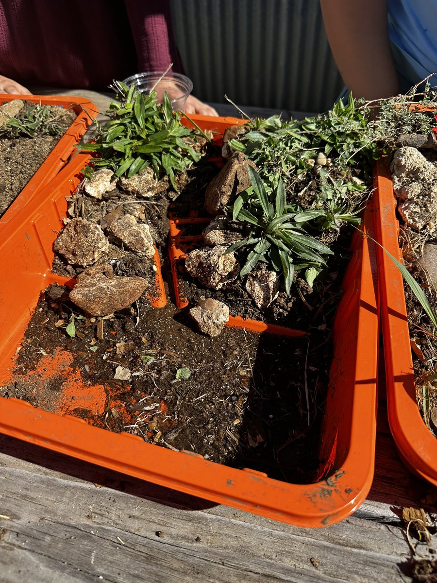 Robin Beasley, M.S., NBCT tweet media