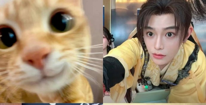 isukaiya's tweet photo. So cute I'M NOT OKAY 😭😭😭 https://t.co/bHc7e7oiE0