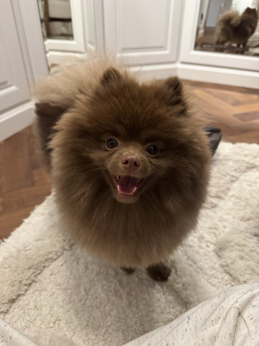 ninaisnoob tweet media