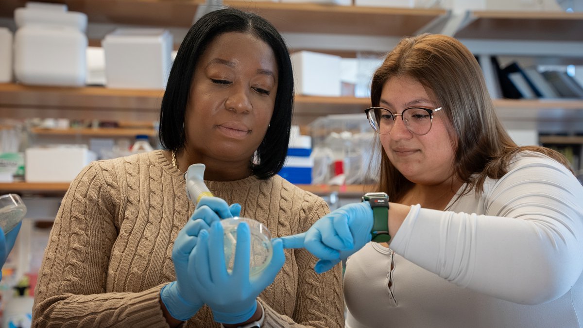 UMassChan's tweet photo. UMass Chan’s Postbaccalaureate Research Education Program prepares applicants for top-tier graduate programs. Attend an info session Nov. 19 at 5 p.m. EST to learn how to get research &amp; academic experience before starting a PhD or MD/PhD: https://t.co/6ekEnvrNmI #PrePhD #PreMDPhD https://t.co/x1gDjlAh9s