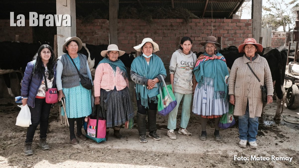 Revista_LaBrava's tweet photo. "Sin ustedes, los #regantes estaríamos debilitados", reconoció Wilson Leniz, secretario municipal de Challapata, a las mujeres regantes. Su trabajo diario es fundamental para el cuidado del #agua y la tierra en su lucha contra la minería. 8/10 🧵 https://t.co/MpGitNzwpl