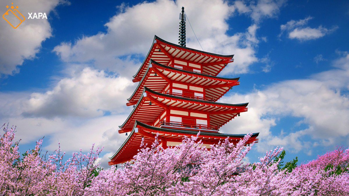 Since late September, Tokyo-based Metaplanet has significantly ramped up its Bitcoin holdings, reporting on Monday a $28 million increase as its Bitcoin assets rose from 492.82 BTC to 1,018.17 BTC by mid-November. 
Read more at bit.ly/33ofK7F