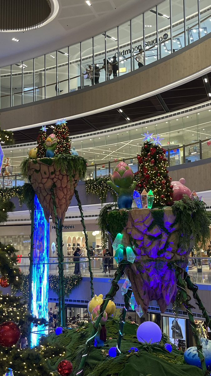 프란세스 tweet media