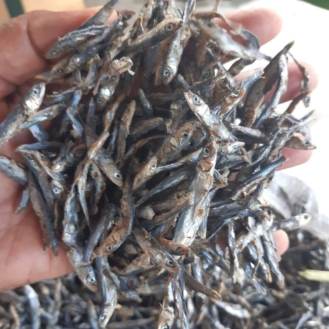 NSabidullah's tweet photo. Melaporkan produksi poklahsar mutiara berkah desa Appatanah Kec.Bontosikuyu  via wa , Jenis Ikan teri  hitam sebanyak 120 kg Harga 55 ribu/kg  @BRPBAP3_Maros #Luhlapor #Selayar #GiatLuhkanSatminkalMaros https://t.co/nJRGVSRl0q