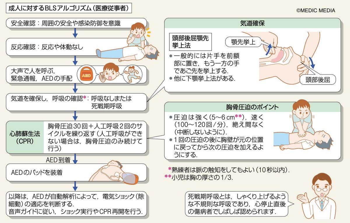 BLS 一次救命処置 マニュアル BLS，一次，一次救命処置，BLS PM，BLS プロバイダーマニュアル，BLS