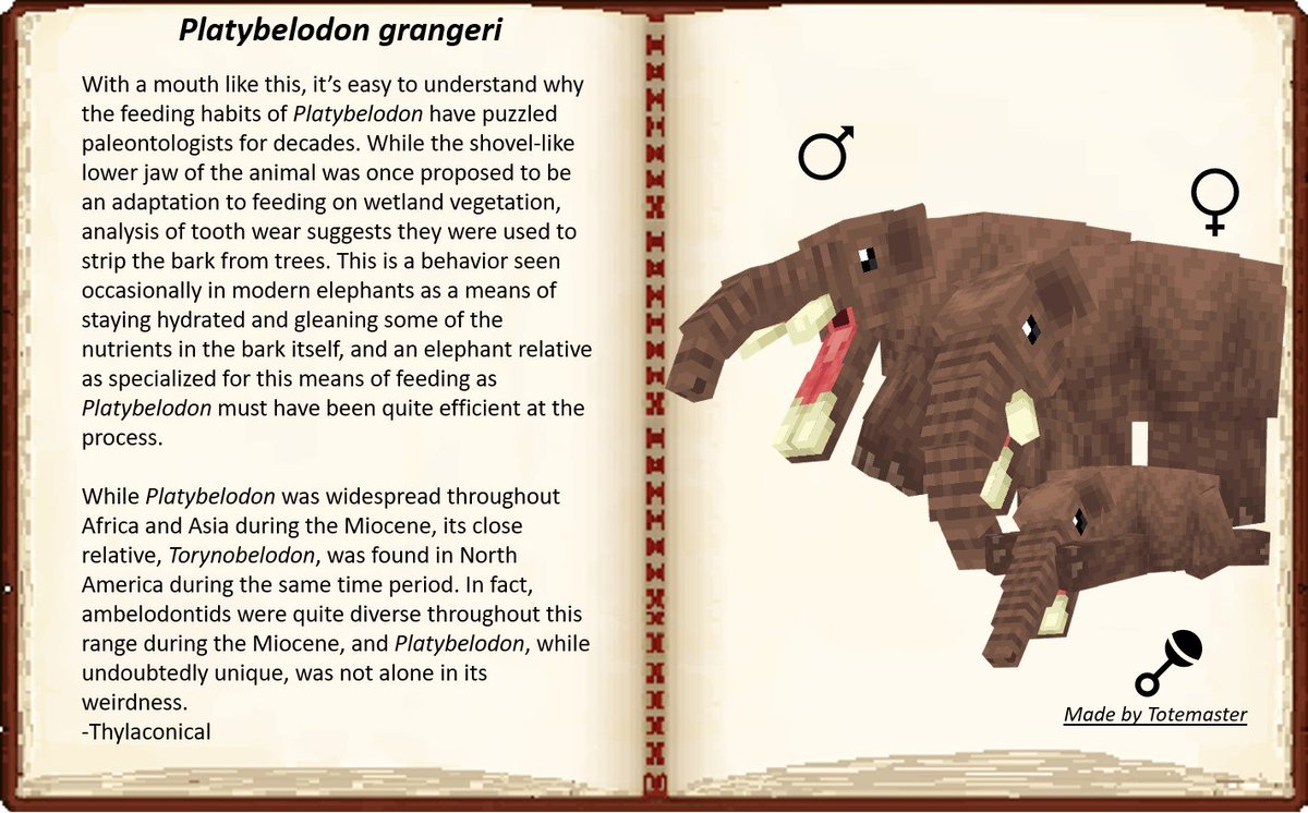 Fossils Revival Team tweet media