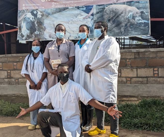 Alexis Nyandwi 🇷🇼 (@alexisnyandwi12) on Twitter photo The <a href="/RwandaGov/">Government of Rwanda</a>, through <a href="/RwandaAgri/">Ministry of Agriculture & Animal Resources |Rwanda</a>, has been actively promoting artificial insemination (AI) in pig farming, aiming to boost productivity and reduce disease risks associated with traditional breeding.
Pig farmers adopting AI have seen significant growth, proving it as a The <a href="/RwandaGov/">Government of Rwanda</a>, through <a href="/RwandaAgri/">Ministry of Agriculture & Animal Resources |Rwanda</a>, has been actively promoting artificial insemination (AI) in pig farming, aiming to boost productivity and reduce disease risks associated with traditional breeding.
Pig farmers adopting AI have seen significant growth, proving it as a