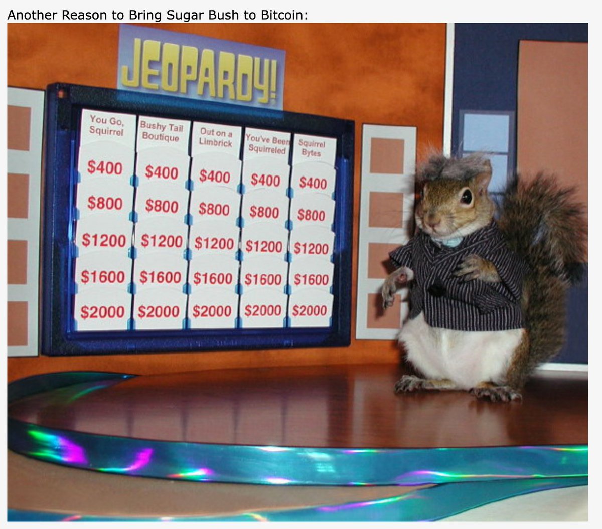whodoneit21's tweet photo. So Charles Hoskinson (yes that one) had the idea to create a meme of Sugar the Squirrel holding  bitcoin logo in order to market Bitcoin way back in 2013.  Thread continues with people posting pictures of Sugar along with now hilarious statements. 

Lore is unmatched. Squirrel Szn