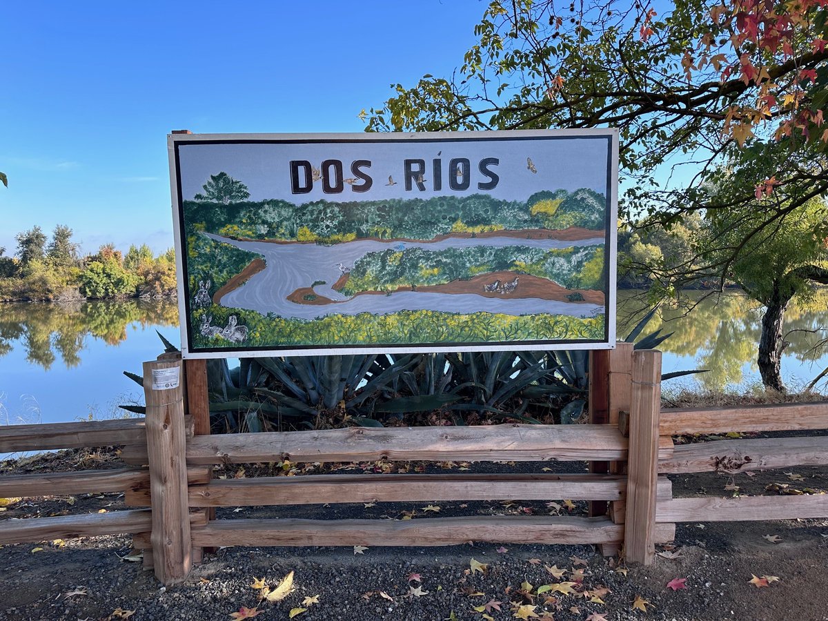 Assemblymember Diane Papan tweet media