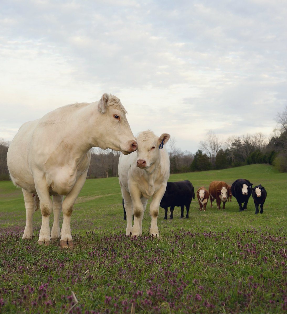 Dustin Kittle tweet media