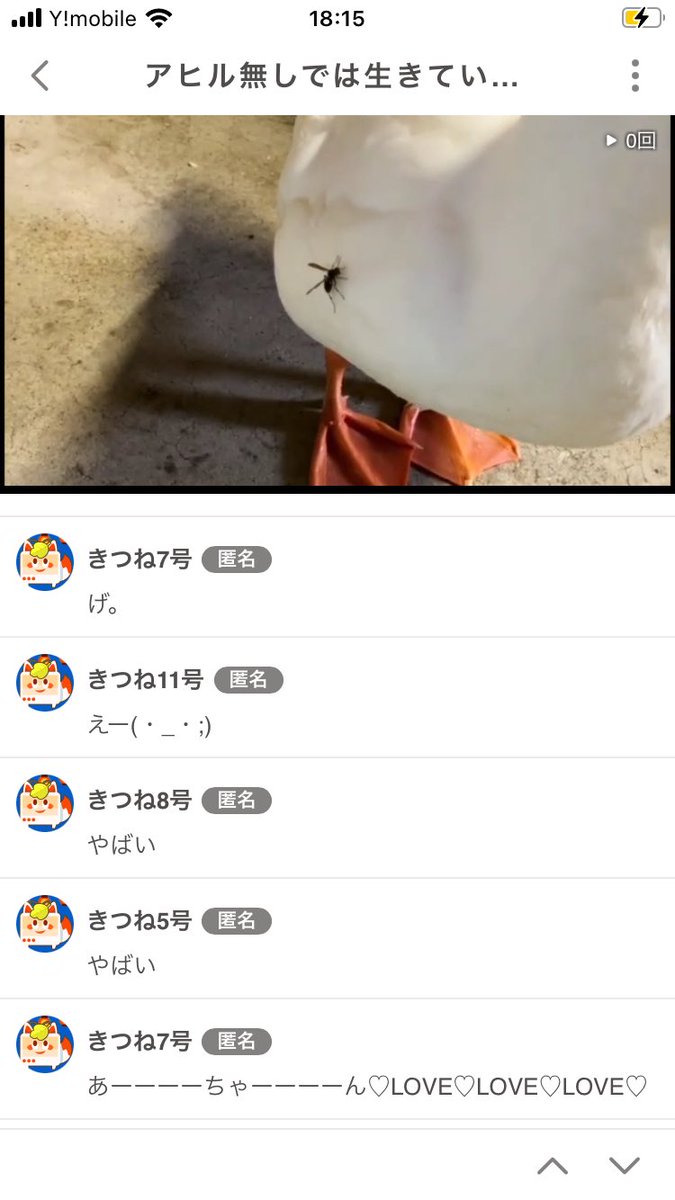 yamatokakeru_'s tweet image. 昨日の配信中
アヒルに蜂がついてた！

最新のオシャレにしては
刺激が強すぎる😭

刺されなくてよかった。笑

#dack
#アヒル
#蜂
#最新ファッション