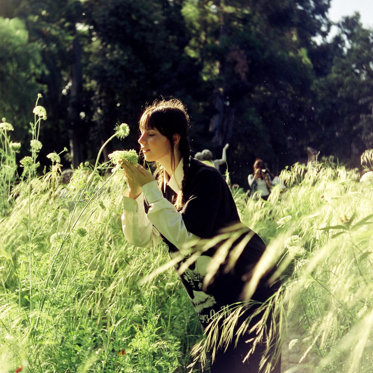 VladiiRedzko's tweet photo. jardín botánico en formato medio // cinestill 400d https://t.co/hoYeTheVcZ