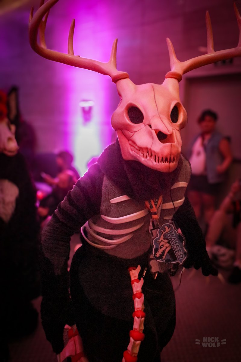 kaiser_skullboy's tweet photo. Happy #SinglesDay

Straight (ally), 24, and looking https://t.co/jVDBc4xiu6