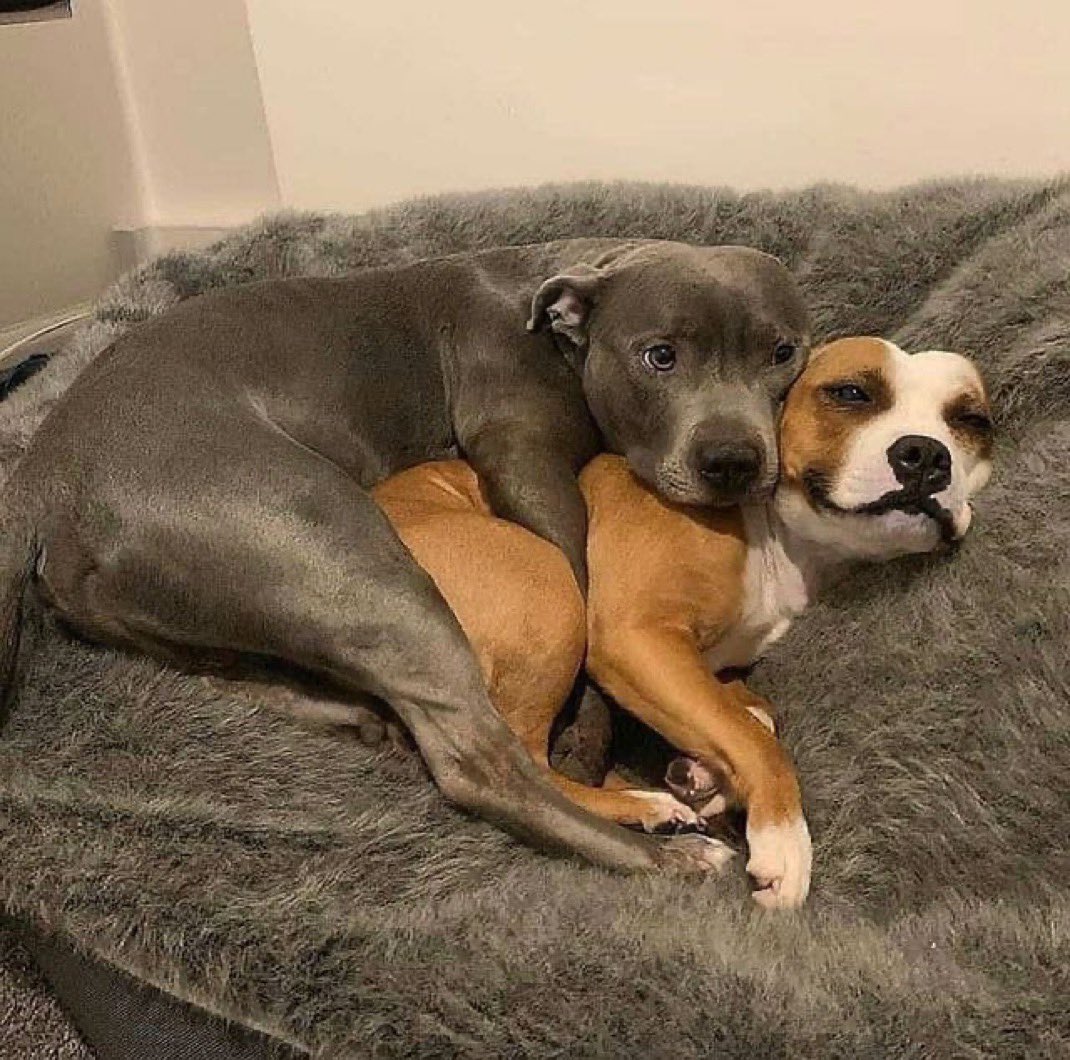 When she wants you to watch scary movies with her