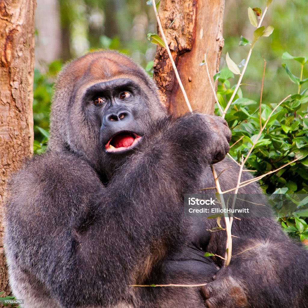 /❇️/ oh god I just read what they’re gonna do to Twitter and-