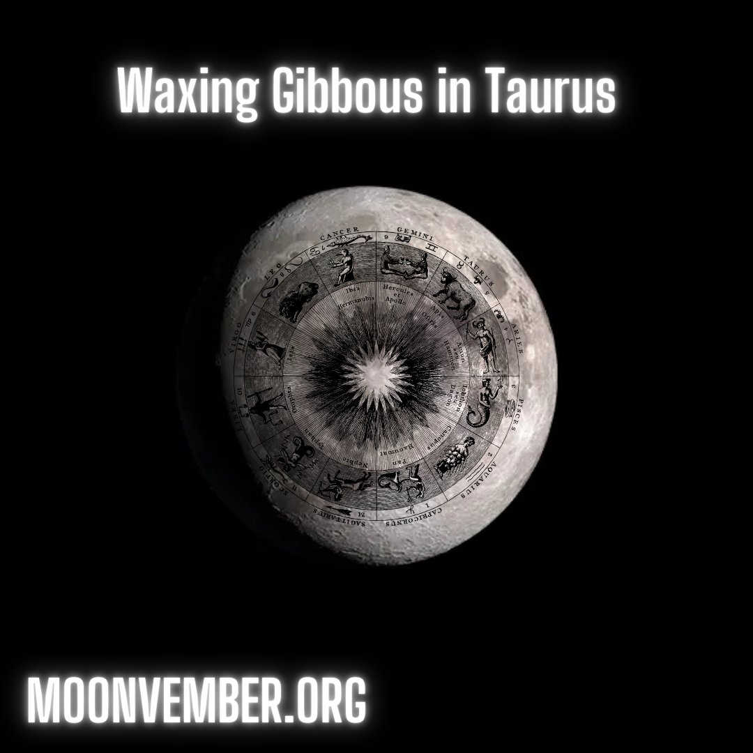 Waxing Gibbous in Taurus on 14 Moonvember 2024, Thursday.

The illuminated surface of the🌔is 97% and growing larger. The MOONVEMBER SUPERCYCLE is 13 days young.

The moon rises in the afternoon and sets after midnight to early morning. It is visible to the southeast in early