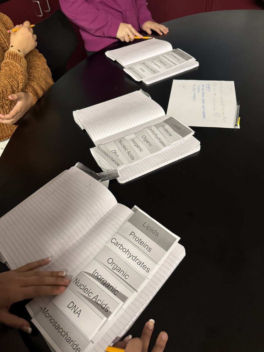 Mrs. Levine tweet media