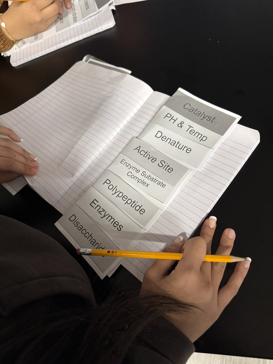 Mrs. Levine tweet media