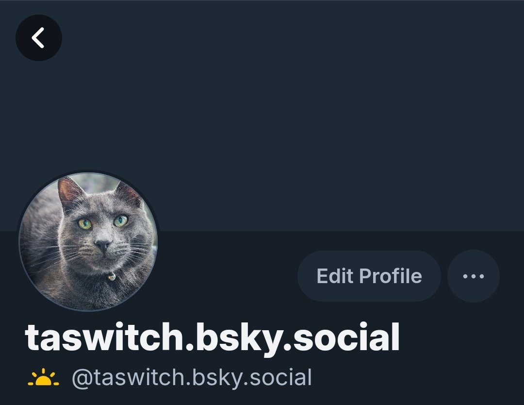 Hi guys, like a lot of my friends here, I've just joined Bluesky. I intend to stay here as long as possible, but I want to connect with you all there, too. I would appreciate it if you would put your handles here so I can follow you there. Love my Twitter family  💖