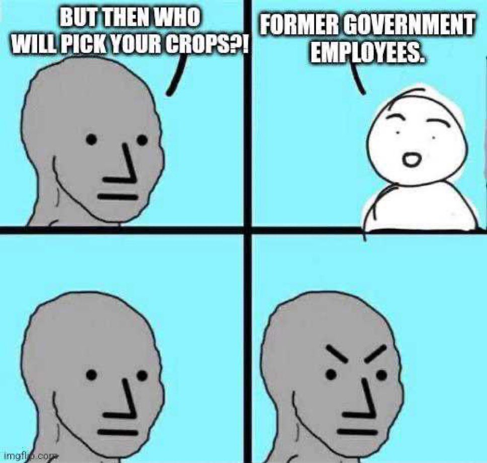 LaNativePatriot's tweet image. Don’t worry… they’ll find work