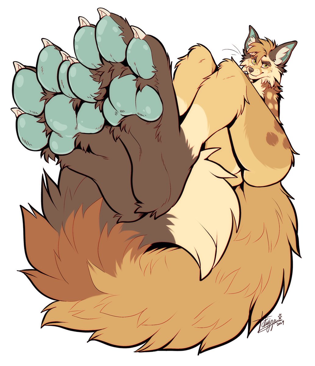 foxpaw.io tweet media