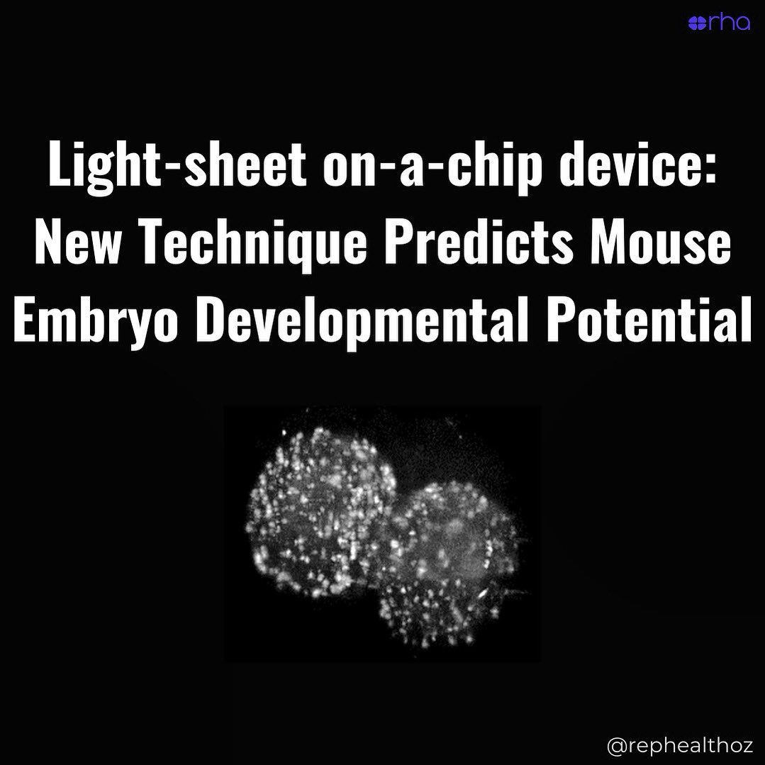 🇦🇺 Aussie researchers have developed a light-sheet on-a-chip device which captures metabolic signatures in mouse embryos, offering insights into early #embryo health. 🌟

🔬NAD(P)H #autofluorescence measurements can predict which embryos may develop into healthy #blastocysts.