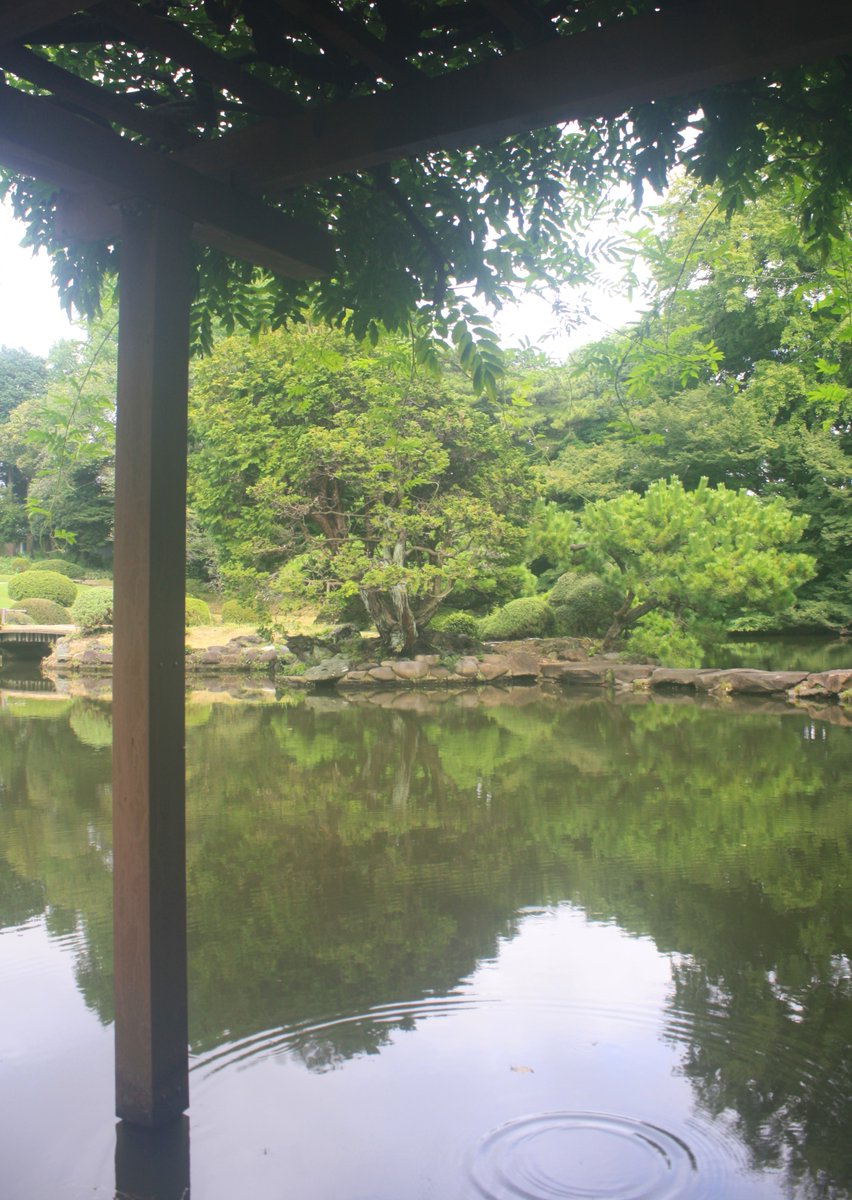 NoAirch's tweet photo. どうせ人間なんてみんなどっかちょっとずつおかしいんだから。

#写真好きな人と繋がりたい
#新宿御苑
#言の葉の庭 https://t.co/aS8W7MhubD