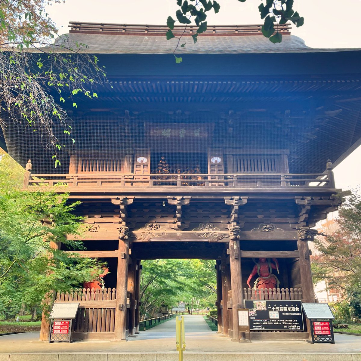 Joshinji_Kuhom's tweet image. 十夜大法要を厳修いたします
#九品仏 #浄真寺 #九品仏浄真寺 #本日 #11月14日 #仁王門 #開扉 #本堂 #午後1時 #法話 #午後2時 #十夜法要 #お檀家様と #念珠繰り #お念仏 #南無阿弥陀仏